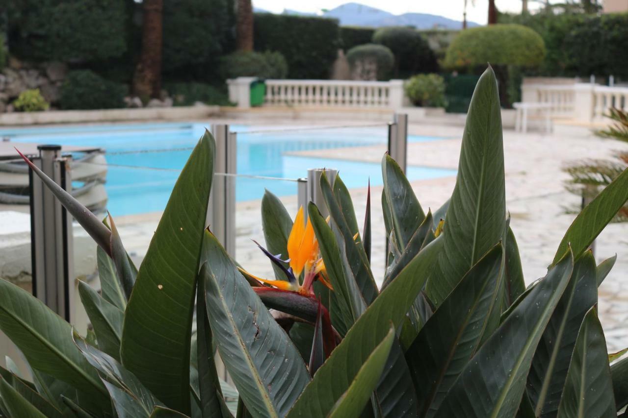 Appartement Palm D'Azur คานส์ ภายนอก รูปภาพ